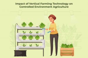 Impact of Vertical Farming Technology on Controlled Environment Agriculture