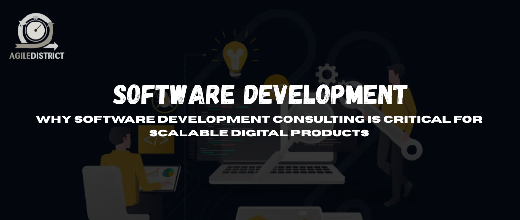 Why Software Development Consulting Drives Scale